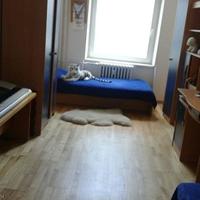 Flat Czechia, Karlovy Vary Region, Karlovy Vary