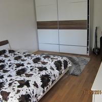 Flat Czechia, Karlovy Vary Region, Karlovy Vary
