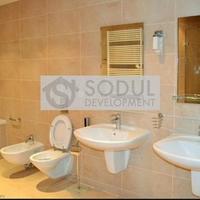 Flat Czechia, Karlovy Vary Region, Karlovy Vary, 257 sq.m.