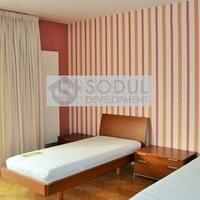 Flat Czechia, Karlovy Vary Region, Karlovy Vary, 257 sq.m.