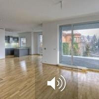 Flat Czechia, Karlovy Vary Region, Karlovy Vary, 210 sq.m.