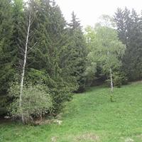 Дом в Чехии, Карловарский край, Карловы Вары