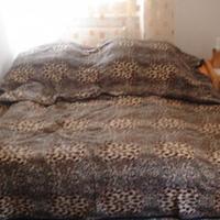 Дом в Чехии, Карловарский край, Карловы Вары