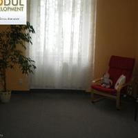 Flat Czechia, Karlovy Vary Region, Karlovy Vary, 111 sq.m.