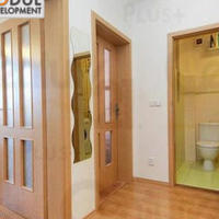 Flat Czechia, Karlovy Vary Region, Karlovy Vary, 55 sq.m.