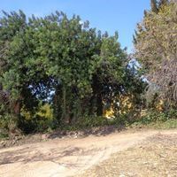 Land plot in Portugal, Algarve