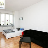 Flat Czechia, Ustecky region, Teplice, 51 sq.m.