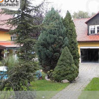 House Czechia, Karlovy Vary Region, Karlovy Vary, 300 sq.m.