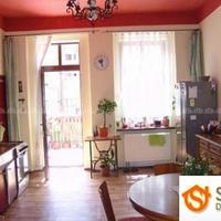 Flat Czechia, Karlovy Vary Region, Karlovy Vary, 70 sq.m.