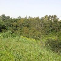 Land plot in Portugal, Algarve