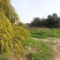 Land plot in Portugal, Algarve
