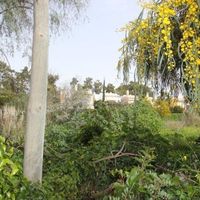 Land plot in Portugal, Algarve