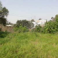 Land plot in Portugal, Algarve