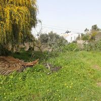 Land plot in Portugal, Algarve