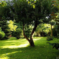 Дом в Чехии, Карловарский край, Карловы Вары, 162 кв.м.