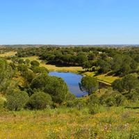 Land plot in Portugal, Algarve