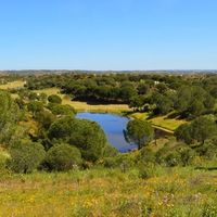 Land plot in Portugal, Algarve
