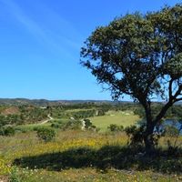 Land plot in Portugal, Algarve