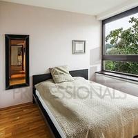 Flat Czechia, Ustecky region, Teplice, 96 sq.m.