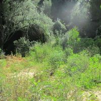 Земельный участок в Португалии, Алгарви