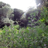 Земельный участок в Португалии, Алгарви