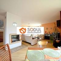 Дом в Чехии, Устецкий край, Теплице, 248 кв.м.