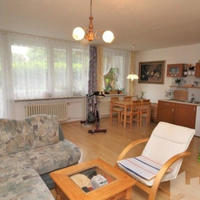 Flat Czechia, Ustecky region, Teplice, 62 sq.m.