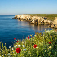 Villa in Bulgaria, Varna region, Shkorpilovtsi, 100 sq.m.