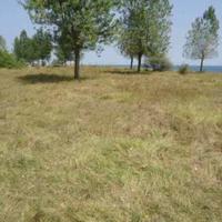 Land plot at the first line of the sea / lake in Bulgaria, Varna region, Shkorpilovtsi