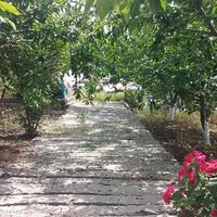 House in Bulgaria, Elkhovo, 60 sq.m.