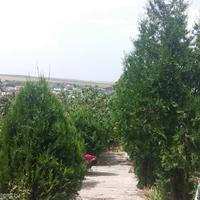 House in Bulgaria, Elkhovo, 60 sq.m.