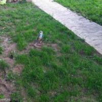 Дом в Болгарии, Несебр, 120 кв.м.