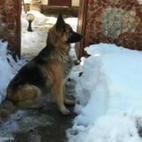 Дом в Болгарии, Несебр, 120 кв.м.