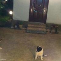 Дом в Болгарии, Несебр, 120 кв.м.