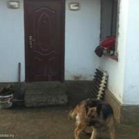 Дом в Болгарии, Несебр, 120 кв.м.