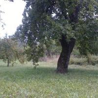 Дом в Болгарии, Елхово, 220 кв.м.