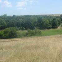 Land plot in Bulgaria, Padina