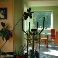 House in Bulgaria, Varna region, Elenite, 200 sq.m.