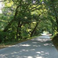 Land plot in Bulgaria, Nesebar