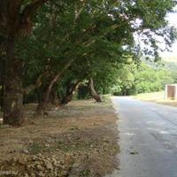 Land plot in Bulgaria, Nesebar