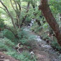 Land plot in Bulgaria, Nesebar