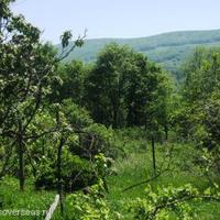 Вилла в Болгарии, Елхово