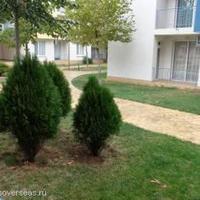 Квартира в Болгарии, Солнечный Берег