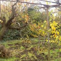 House in Bulgaria, Elkhovo, 70 sq.m.