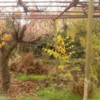 House in Bulgaria, Elkhovo, 70 sq.m.