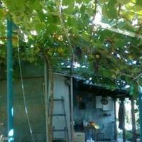 House in Bulgaria, Burgas Province, Elenite, 120 sq.m.