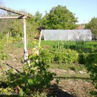 Дом в Болгарии, Елхово