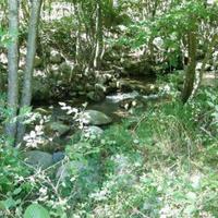 Land plot in Bulgaria, Nesebar