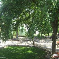 Дом в Болгарии, Добричская область, 95 кв.м.