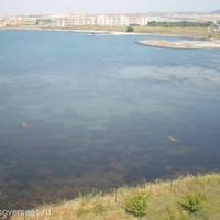 Апартаменты в Болгарии, Бургасская область, Елените